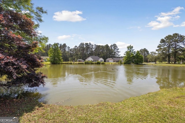 2507 Wateringhole Ct, Statesboro, GA 30458 - water view