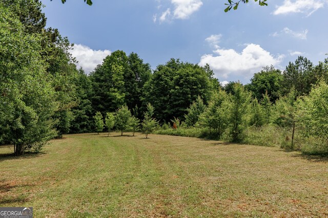 218 Wedgewood Dr, Danielsville, GA 30633 - view of grassy yard with a wooded view