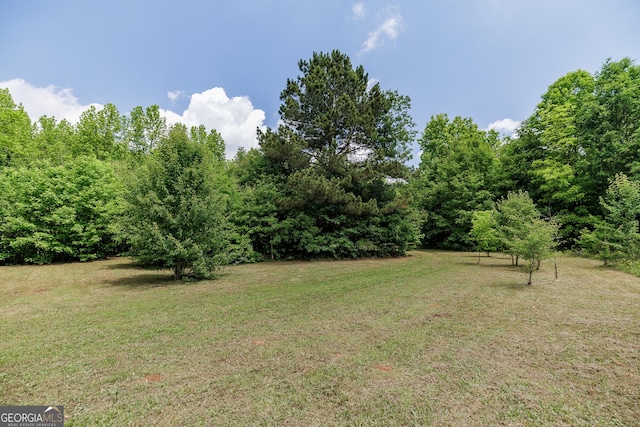 218 Wedgewood Dr, Danielsville, GA 30633 - view of green lawn