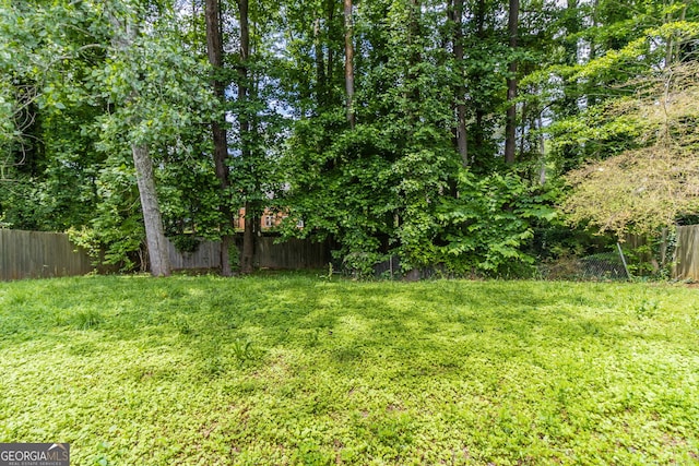 5339 Biffle Downs Rd, Stone Mountain, GA 30088 - view of yard