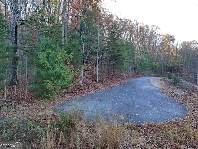 LT20 Red Twig Rd, Blairsville, GA 30512