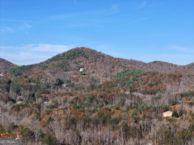LT20 Red Twig Rd, Blairsville, GA 30512