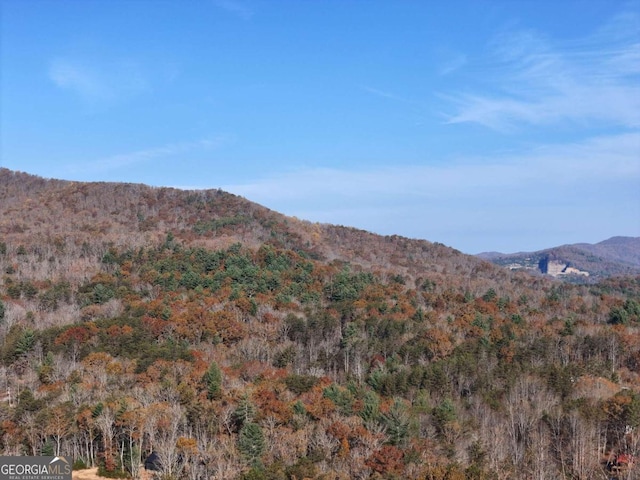 LT20 Red Twig Rd, Blairsville, GA 30512