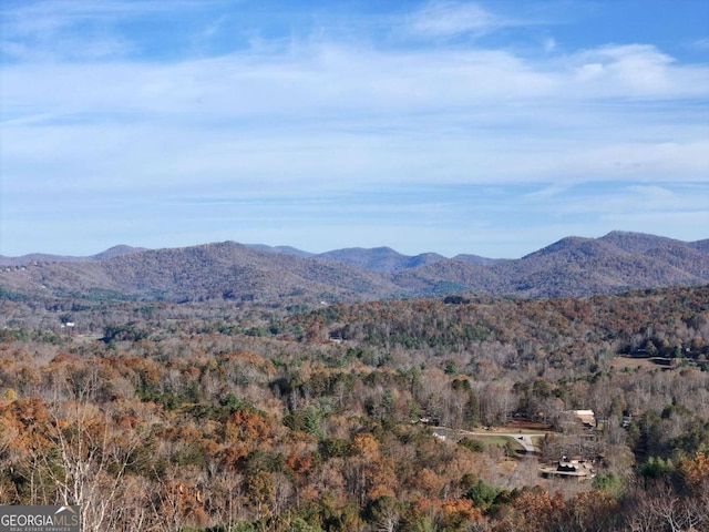 LT20 Red Twig Rd, Blairsville, GA 30512