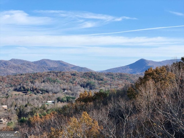 LT20 Red Twig Rd, Blairsville, GA 30512