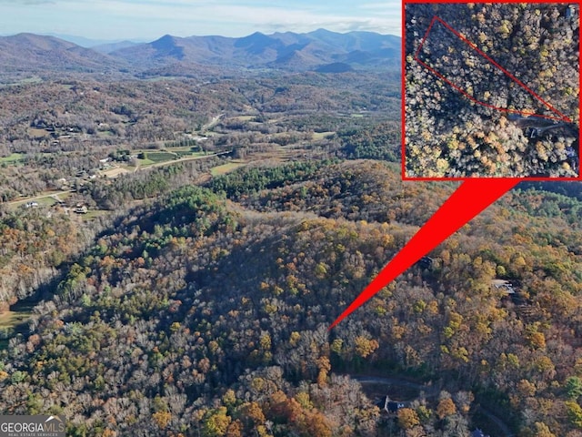 LT20 Red Twig Rd, Blairsville, GA 30512