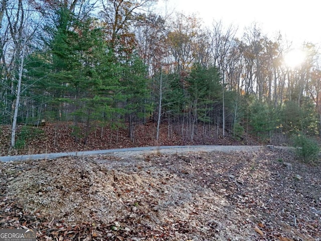 LT20 Red Twig Rd, Blairsville, GA 30512