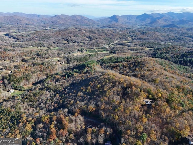 LT20 Red Twig Rd, Blairsville, GA 30512