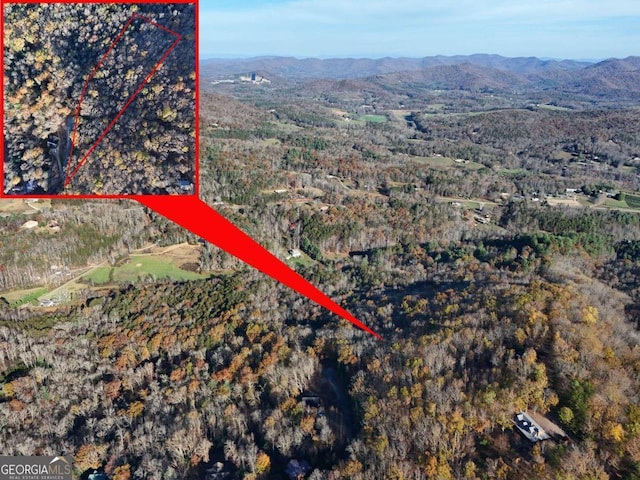 LT20 Red Twig Rd, Blairsville, GA 30512