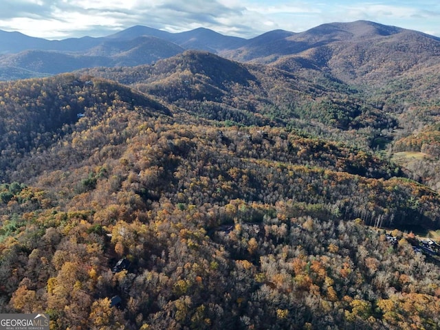 LT20 Red Twig Rd, Blairsville, GA 30512