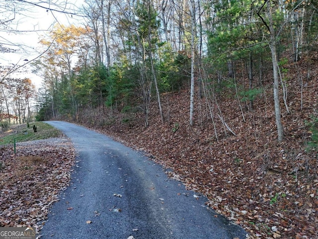 LT20 Red Twig Rd, Blairsville, GA 30512
