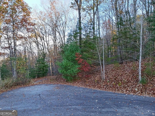 LT20 Red Twig Rd, Blairsville, GA 30512