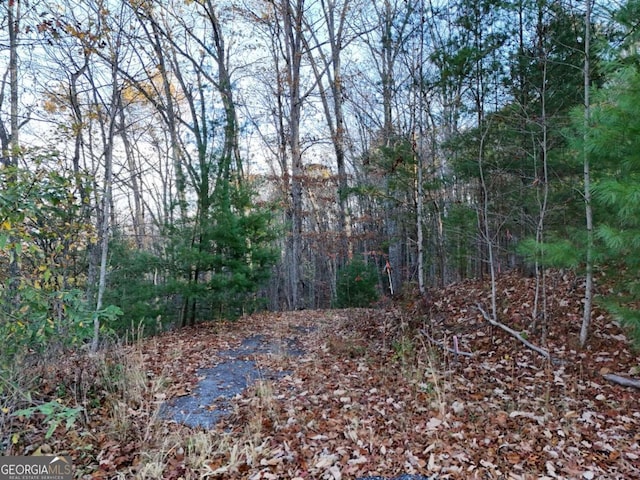 LT20 Red Twig Rd, Blairsville, GA 30512