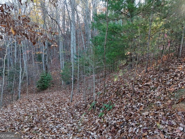 LT20 Red Twig Rd, Blairsville, GA 30512