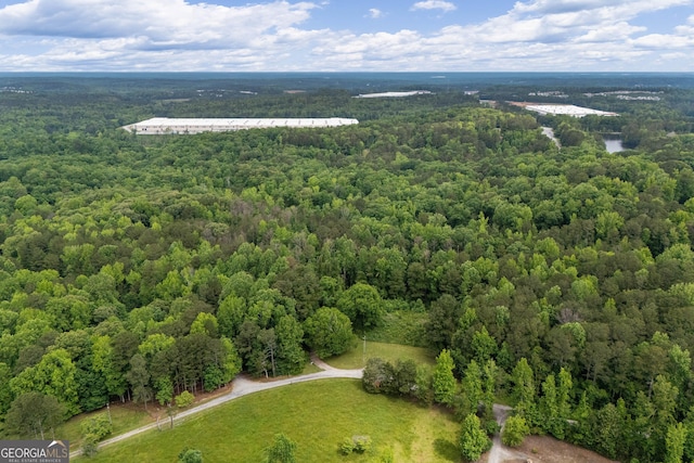 aerial view of a forest