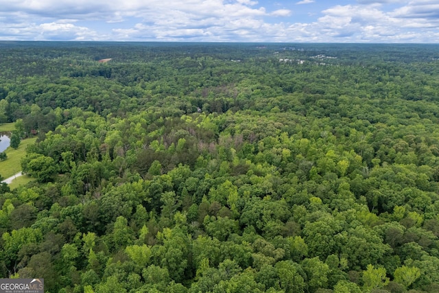 bird's eye view of a heavily wooded area
