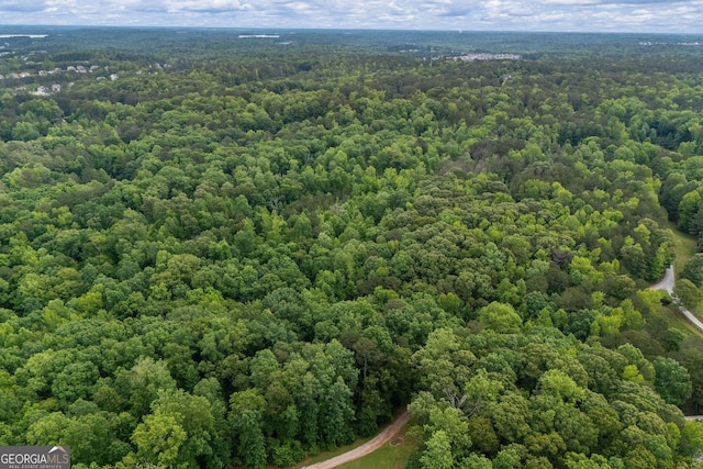 aerial view of a forest