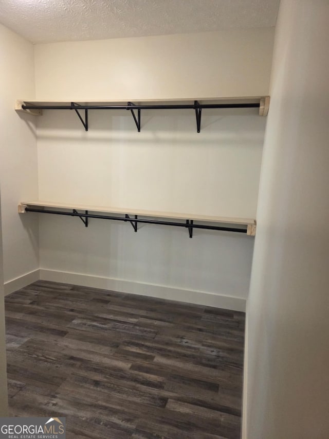 walk in closet featuring dark wood-type flooring