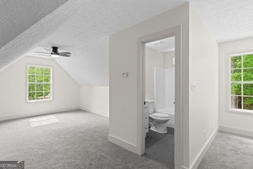 additional living space featuring carpet floors, a textured ceiling, baseboards, plenty of natural light, and lofted ceiling