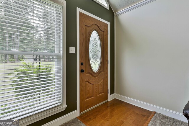 foyer entrance with baseboards and dark wood-style floors
