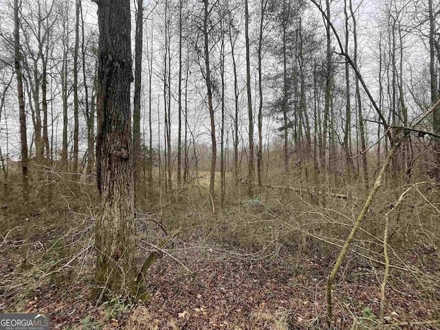 0 Holiness Campground Rd, Cleveland, GA 30528