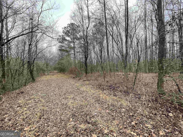 0 Holiness Campground Rd, Cleveland, GA 30528