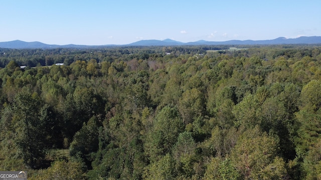 0 Holiness Campground Rd, Cleveland, GA 30528