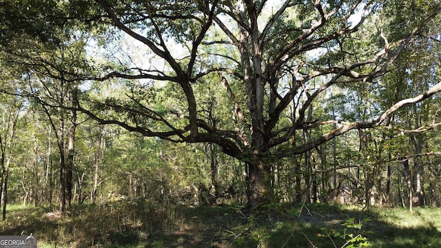 0 Holiness Campground Rd, Cleveland, GA 30528