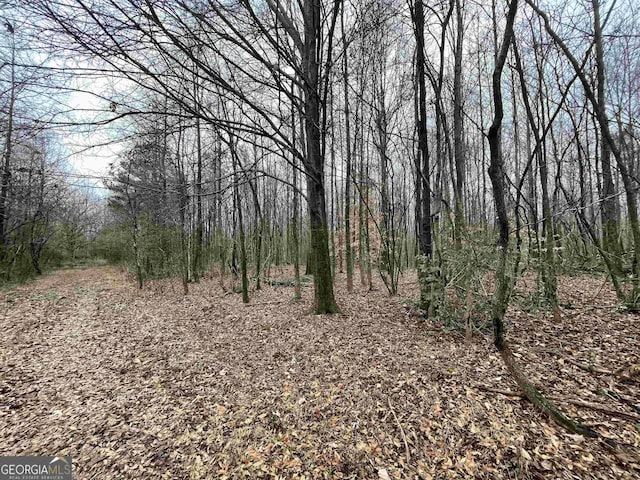 0 Holiness Campground Rd, Cleveland, GA 30528