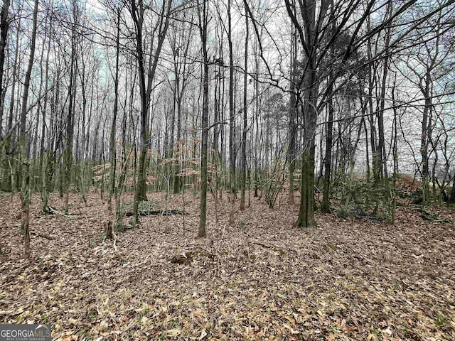 0 Holiness Campground Rd, Cleveland, GA 30528