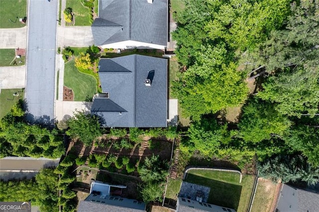 bird's eye view