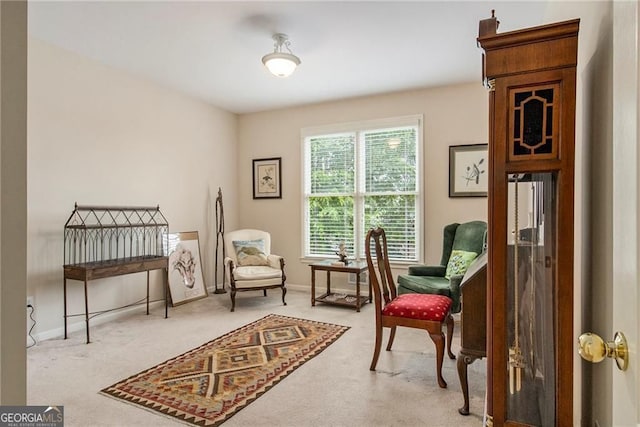 4045 Bonnett Creek Ln, Hoschton, GA 30548 - sitting room with carpet floors and baseboards