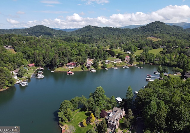 327 Chatuge Village Cir, Hayesville, NC 28904 - bird's eye view of a forest and a water and mountain view