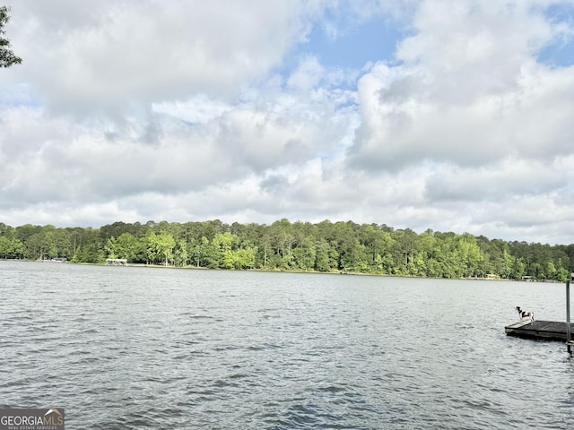 water view featuring a boat dock and a heavily wooded area