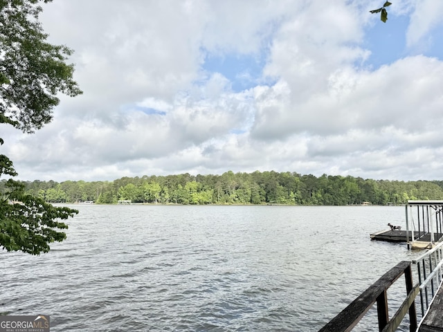 dock with a forest view and a water view