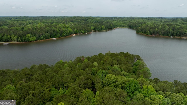 aerial view of a forest and a nearby body of water