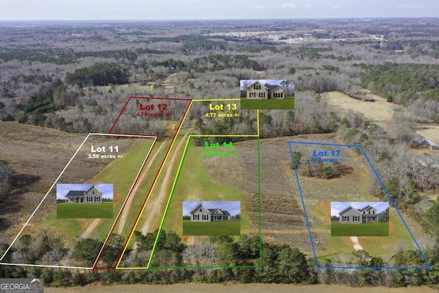 123 Oak Rd, Locust Grove, GA 30248 - aerial view of property's location featuring property boundaries highlighted and a forest