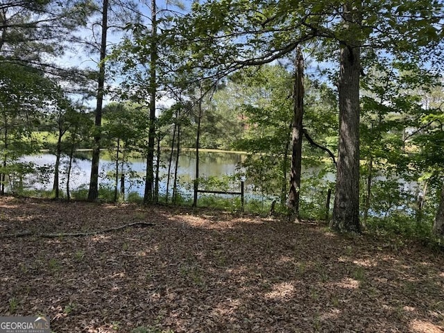 3136 Camp Branch Rd, Buford, GA 30519 - water view