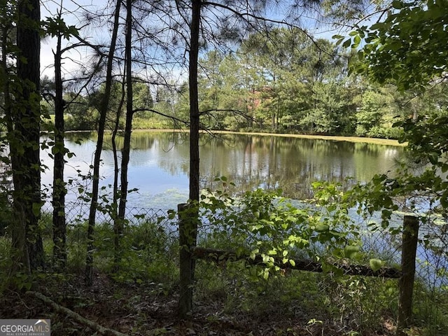 3136 Camp Branch Rd, Buford, GA 30519 - water view featuring a forest
