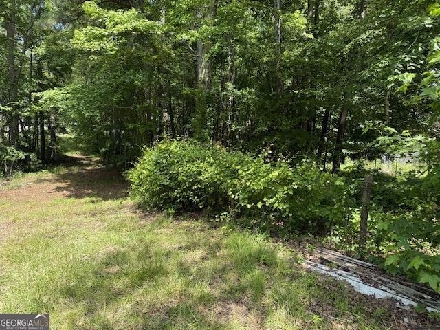 3136 Camp Branch Rd, Buford, GA 30519 - view of tree filled area
