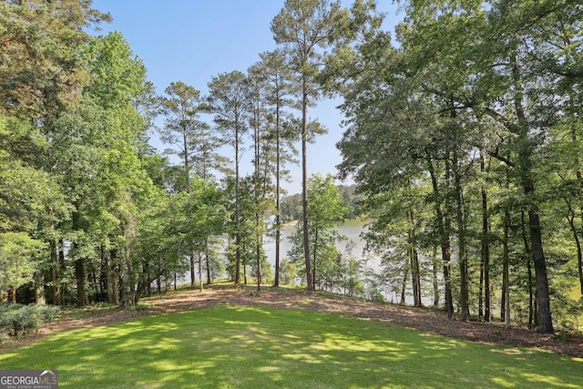 54 Owl Ct, Monticello, GA 31064 - view of green lawn