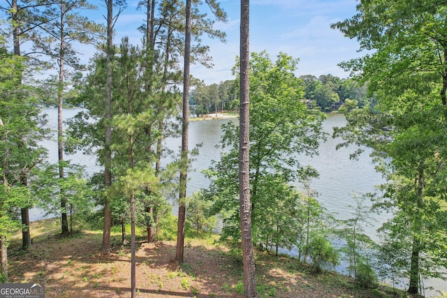 54 Owl Ct, Monticello, GA 31064 - water view