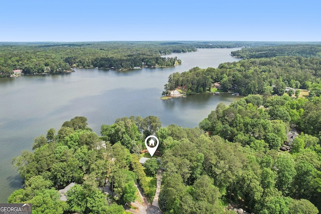 54 Owl Ct, Monticello, GA 31064 - aerial overview of property's location featuring a heavily wooded area and a large body of water