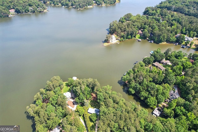 54 Owl Ct, Monticello, GA 31064 - aerial view of property and surrounding area with a large body of water and a heavily wooded area