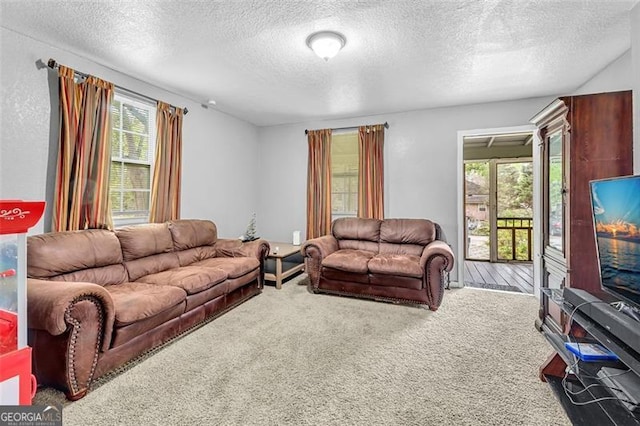 living room with carpet flooring and a textured ceiling
