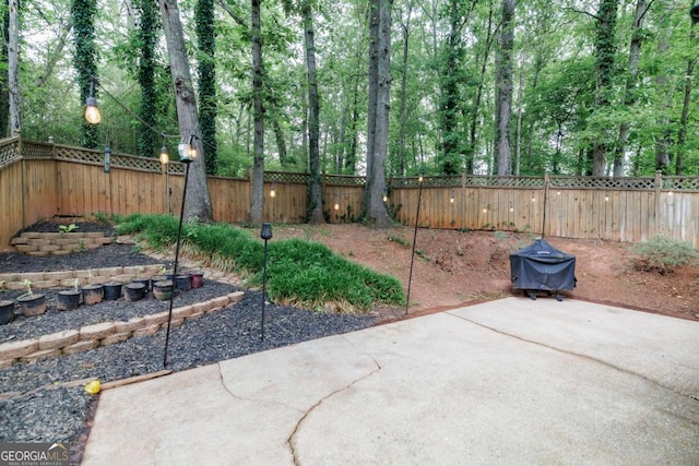 fenced backyard featuring a patio and view of scattered trees