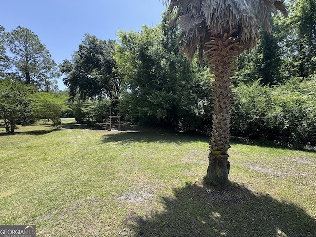 13327 US Highway 17, Woodbine, GA 31569 - view of green lawn