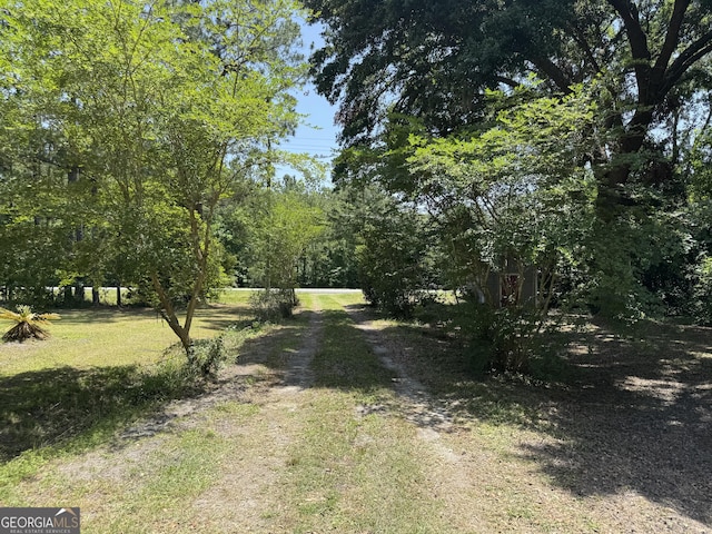 13327 US Highway 17, Woodbine, GA 31569 - view of green lawn