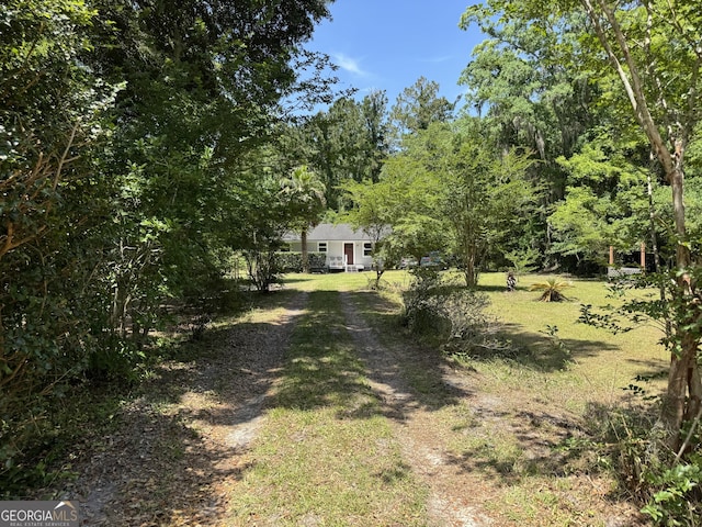 13327 US Highway 17, Woodbine, GA 31569 - view of yard