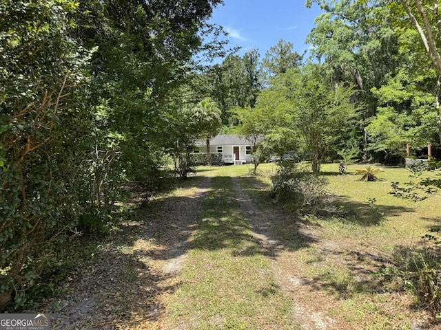 13327 US Highway 17, Woodbine, GA 31569 - view of grassy yard